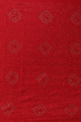 Luxurious Embroidered Pure Woolen Shawl ST-09