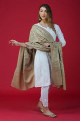 Unique Stylish Embroidered Pure Woolen Shawl ST-04