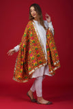 High-Quality Handloom Phulkari Dupatta DP-09