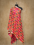 Stunning Handloom Phulkari Dupatta DP-05