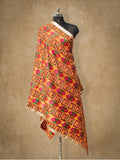 Multicolor Handloom Phulkari Dupatta DP-08