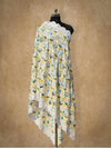 Magnificent Handloom Phulkari Dupatta DP-10