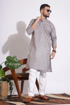 Fabulous Print  Grey Color Kurta
