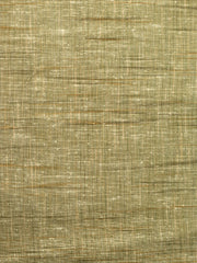 Light Green Color Traditional Pattern Khadi