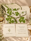 Hariyali Khadi shagun envelope bundle with personalised wishes cards